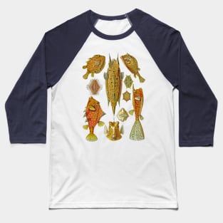 Ernst Haeckel Ostraciontes Boxfish Baseball T-Shirt